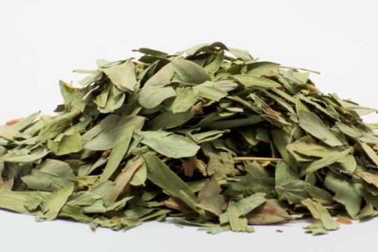 infusion laxante de hojas de sen