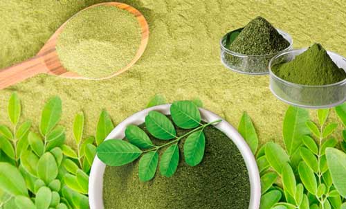 Diferentes tipos de moringa para adelgazar