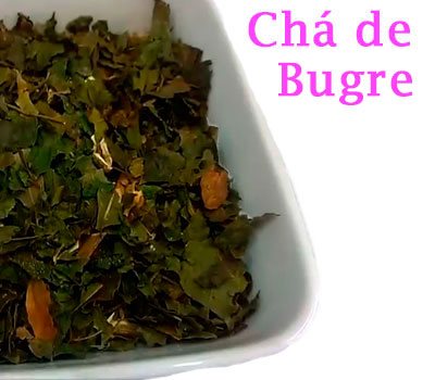 Chá de bugre