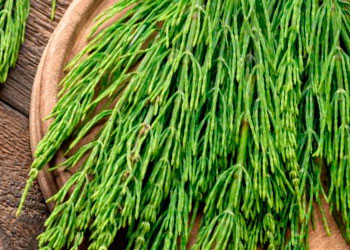 Té kukicha propiedades y contraindicaciones